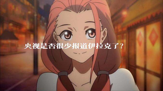 央视是否很少报道伊拉克了？