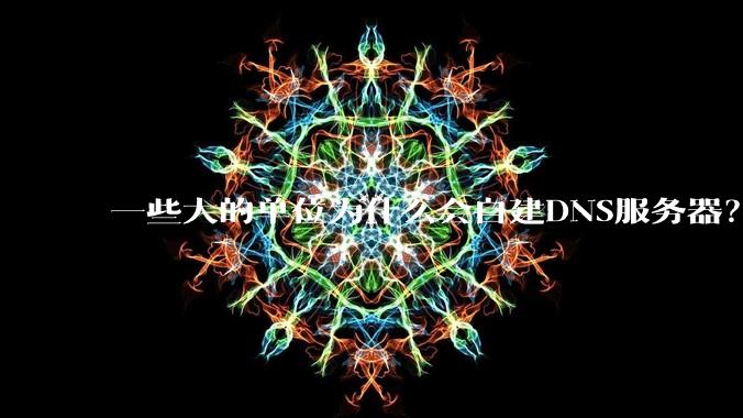 一些大的单位为什么会自建DNS服务器？