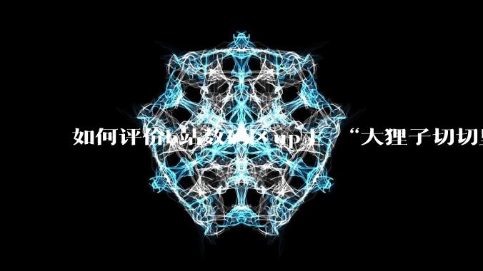 如何评价b站数码区up主 “大狸子切切里”?