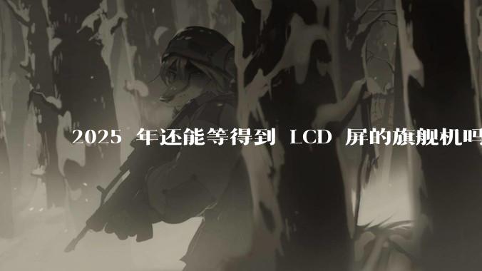 2025 年还能等得到 LCD 屏的旗舰机吗？