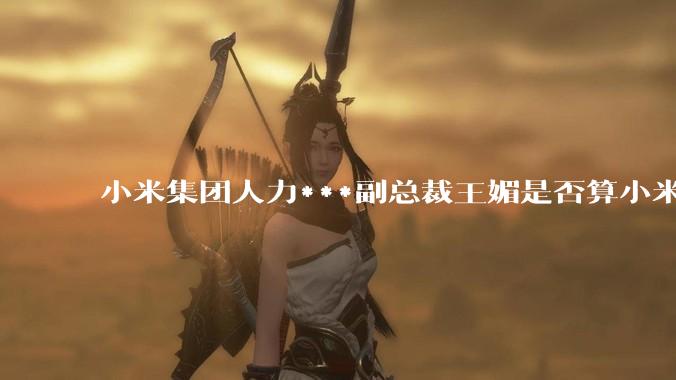 小米集团人力***副总裁王媚是否算小米集团高管？