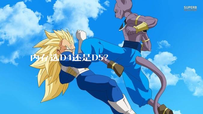 内存选D4还是D5？