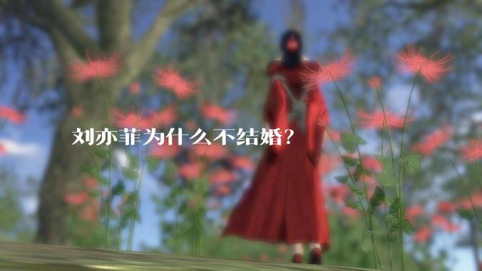刘亦菲为什么不结婚？