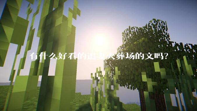 有什么好看的追妻火葬场的文吗？