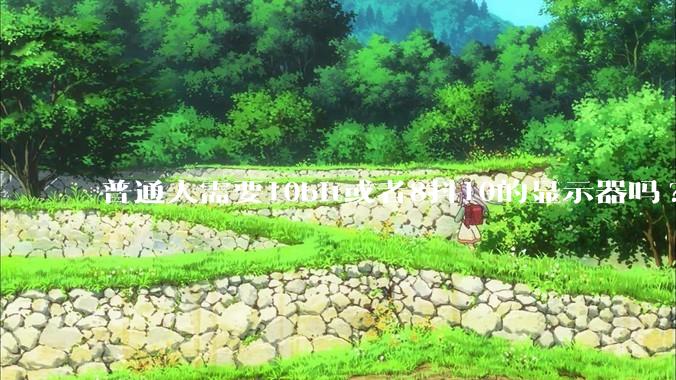 普通人需要10bit或者8抖10的显示器吗?