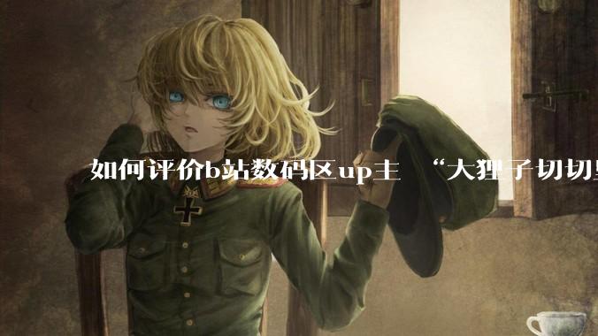 如何评价b站数码区up主 “大狸子切切里”?