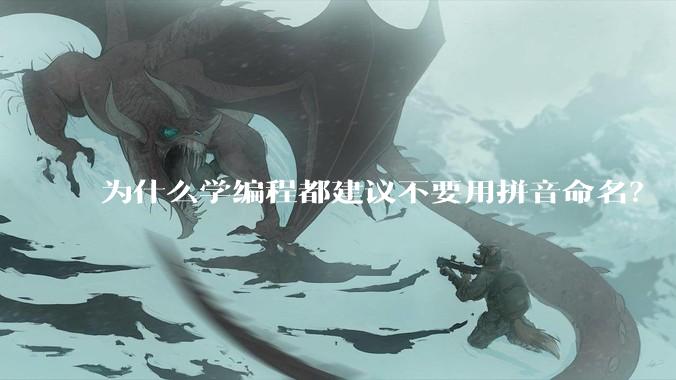 为什么学编程都建议不要用拼音命名？