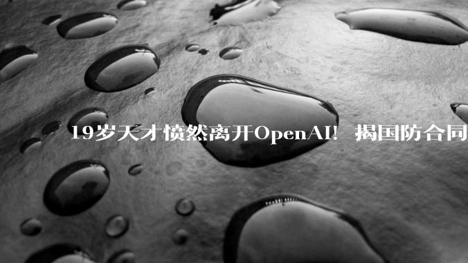 19岁天才愤然离开OpenAI！揭国防合同血泪内幕，AI竟成为战争噩梦_奥特曼_与美国_员工