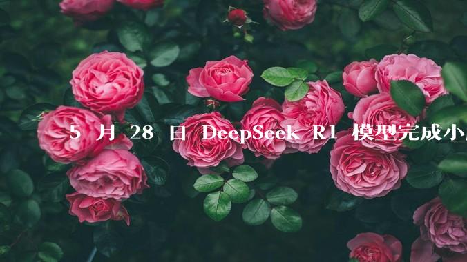 5 月 28 日 DeepSeek R1 模型完成小版本试升级并开源，具体有哪些提升？使用体验如何？