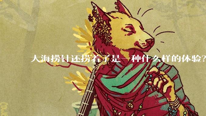 大海捞针还捞着了是一种什么样的体验？