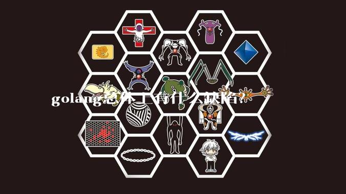 golang总体上有什么缺陷？