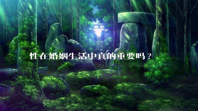 性在婚姻生活中真的重要吗?