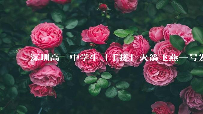 深圳高二中学生「手搓」火箭飞燕一号发射成功，突破 10KM 海拔高度，这属于什么水平？手搓火箭有多难？