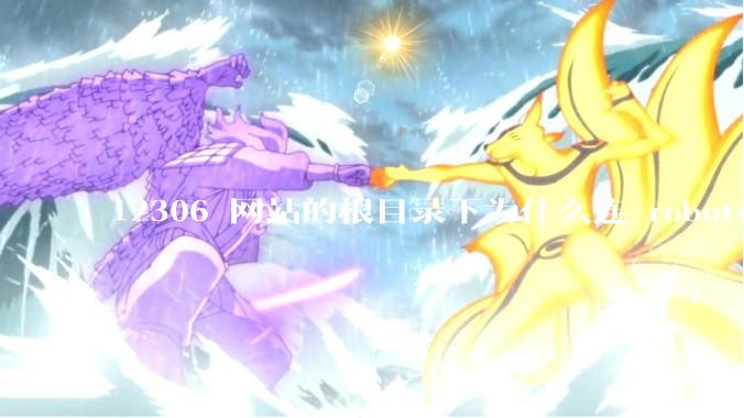 12306 网站的根目录下为什么连 robots.txt 文件（反爬虫协议）都没有？