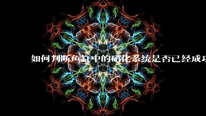 如何判断鱼缸中的硝化系统是否已经成功建立？