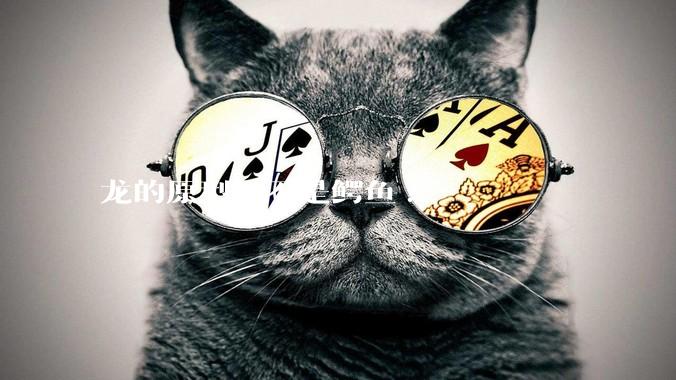 龙的原型是不是鳄鱼?