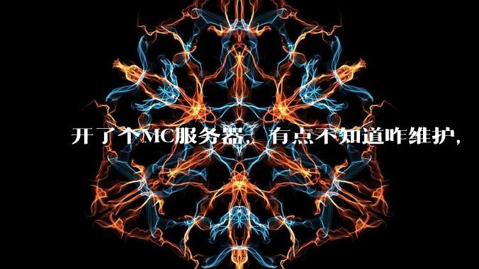 开了个MC服务器，有点不知道咋维护，有谁愿意帮我看看嘛？