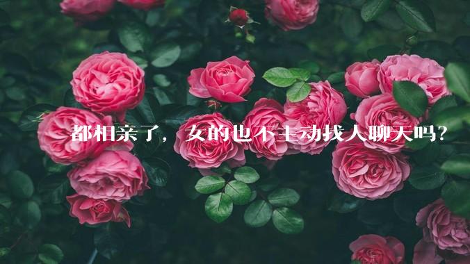 都相亲了，女的也不主动找人聊天吗？