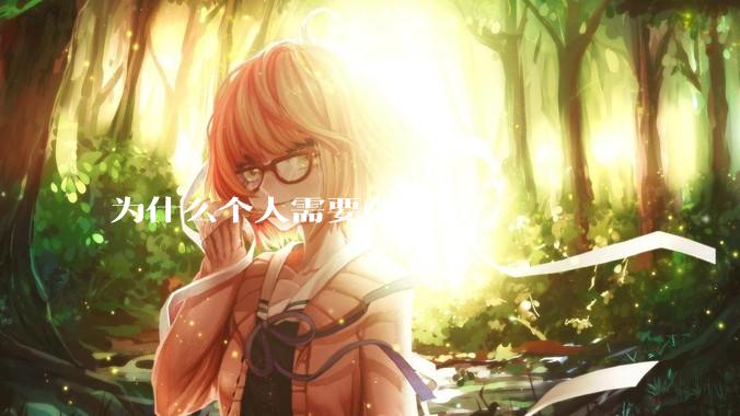 为什么个人需要公网ip？