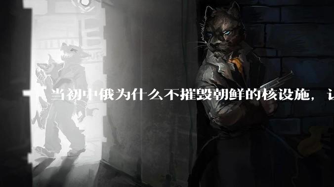 当初中俄为什么不摧毁朝鲜的核设施，让朝鲜拥有了自己的核武器？