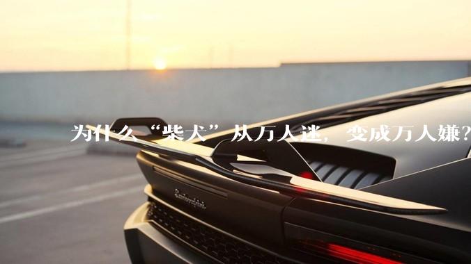 为什么“柴犬”从万人迷，变成万人嫌？